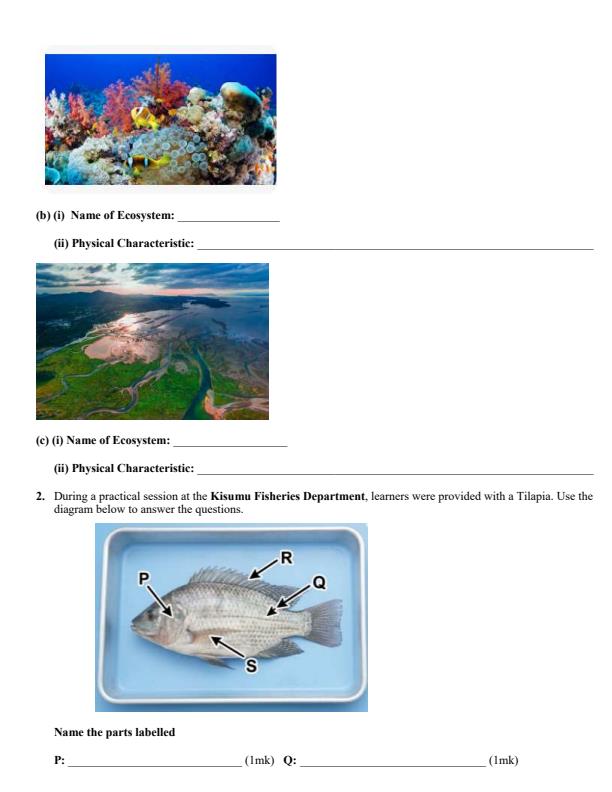 Preview page Grade-10-Marine-Technology-End-Term-2-Exam-2026_6154_1.jpg