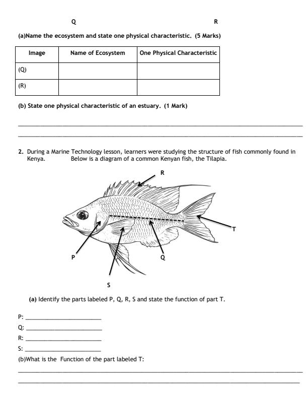 Preview page Grade-10-Marine-Technology-Mid-Term-2-Exam-2026_5954_1.jpg