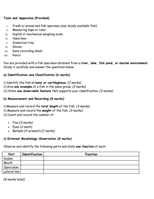 Preview page Grade-10-Marine-Technology-Practical-Mid-Term-1-Exam-2026_5180_1.jpg