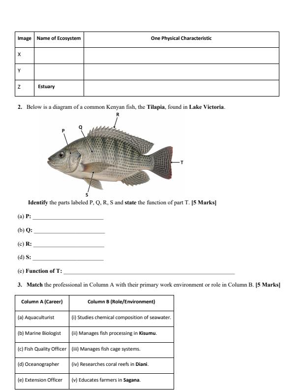 Preview page Grade-10-Marine-Technology-Term-3-Opener-Exam-2026_6583_1.jpg