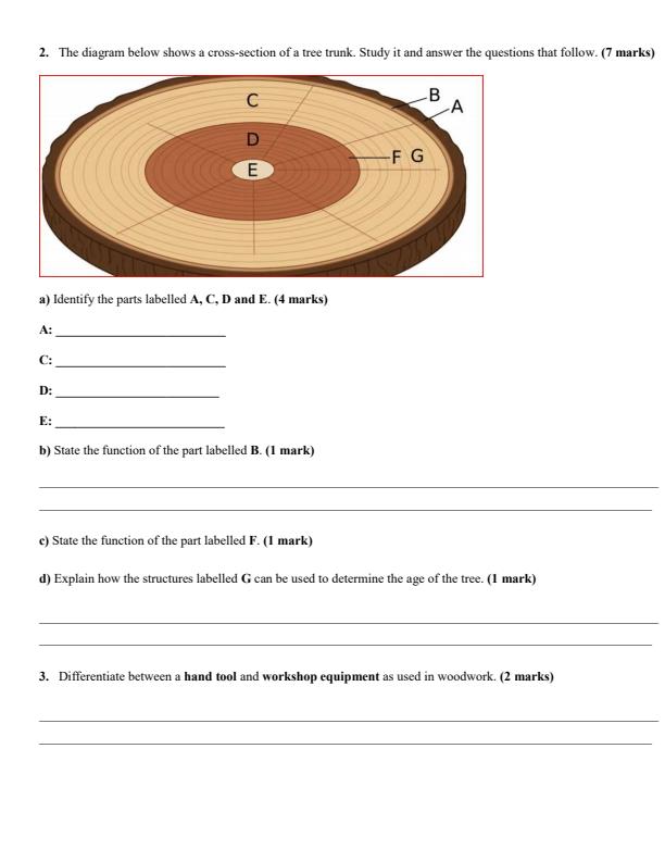 Preview page Grade-10-Wood-Technology-End-Term-3-Exam-2026_6962_1.jpg