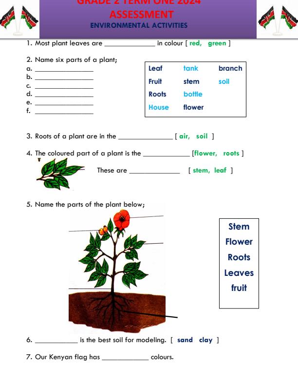 Preview page Grade-2-Environmental-Activities-Term-1-Opener-Exam-2024_1930_0.jpg