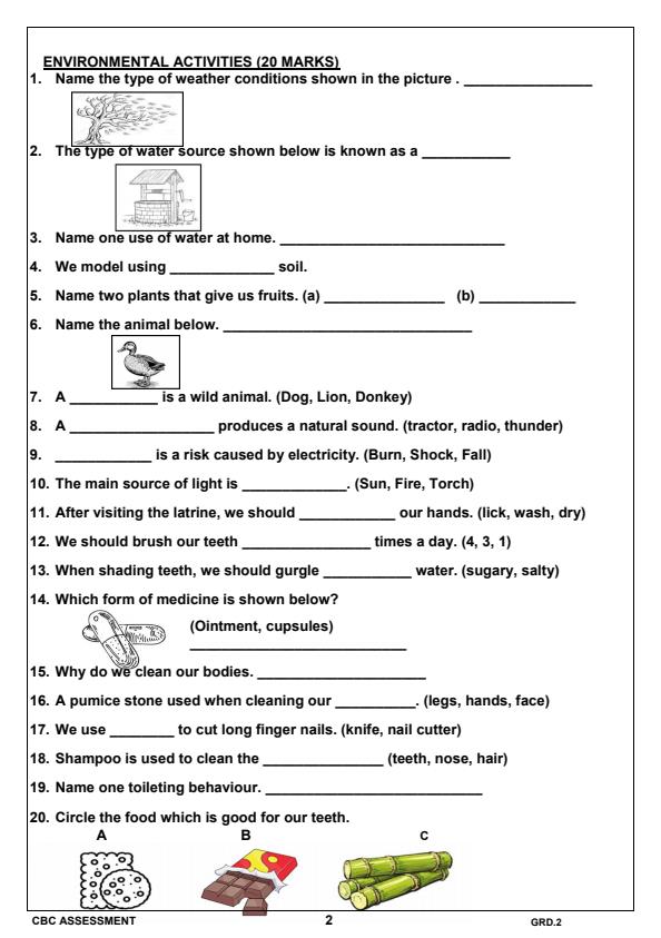 Preview page Grade-2-Environmental-Activities-Term-1-Opener-Exam-2025_3494_1.jpg