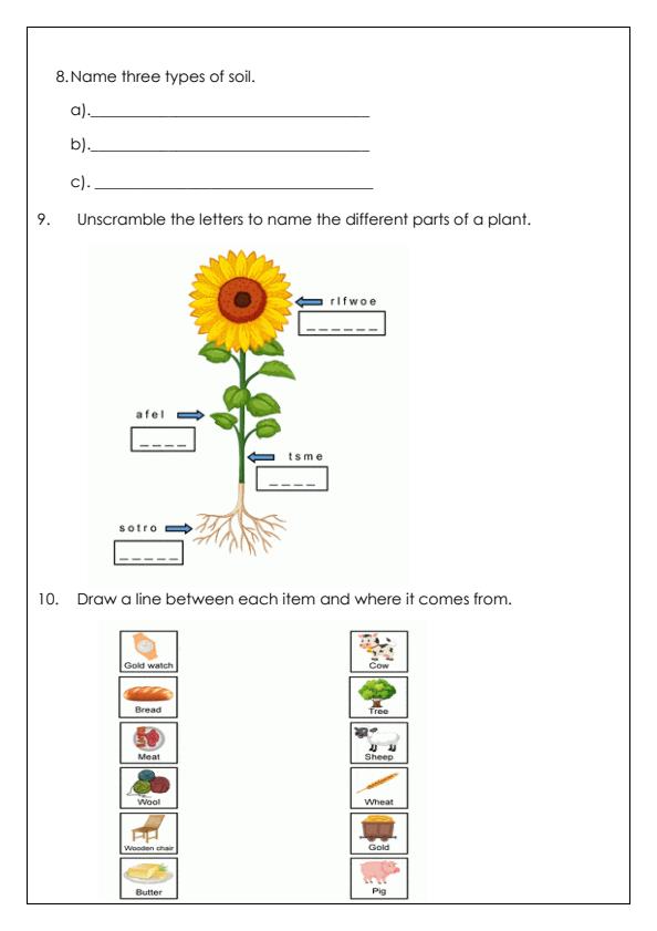 Preview page Grade-2-Environmental-Activities-Term-3-Opener-Exam-2024_2969_1.jpg