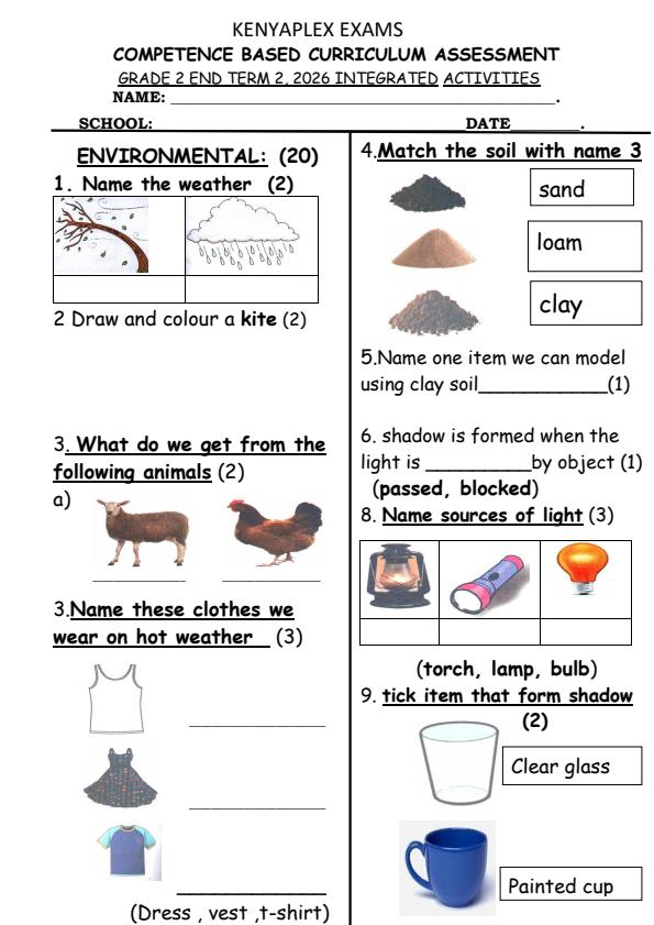 Preview page Grade-2-Integrated-Activities-July-Assessment-Examination-2026_6312_0.jpg