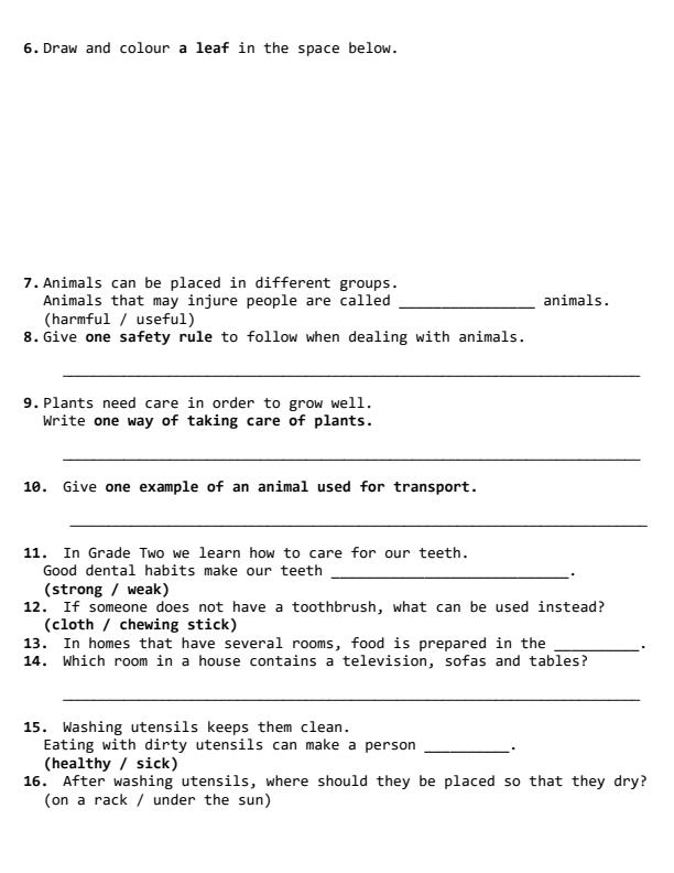 Preview page Grade-2-Integrated-Activities-Term-2-Opener-Exam-2026_5764_1.jpg