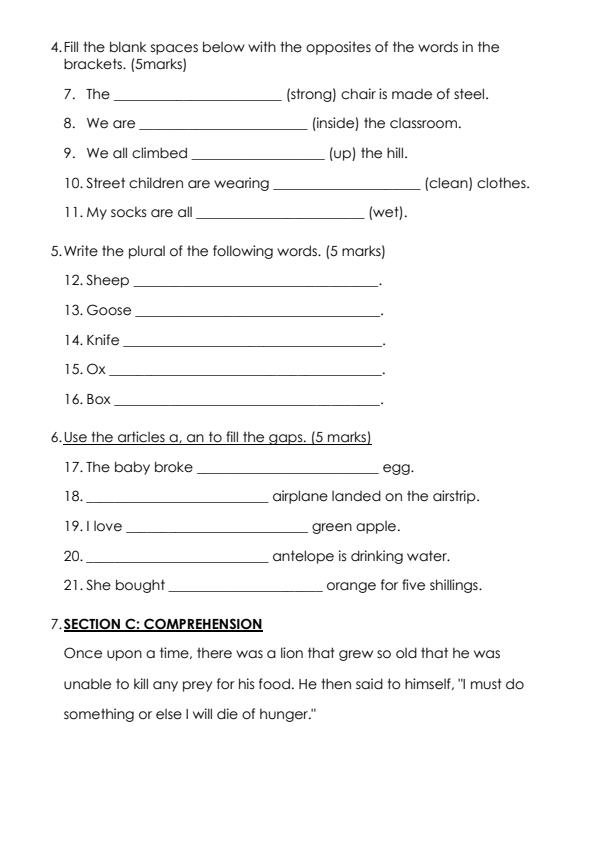 Preview page Grade-3-English-Activities-End-of-Term-2-Examination-2024_2859_2.jpg