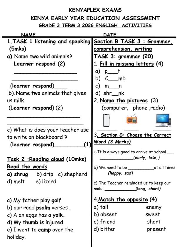 Preview page Grade-3-English-Activities-September-Assessment-Examination-2026_6697_0.jpg