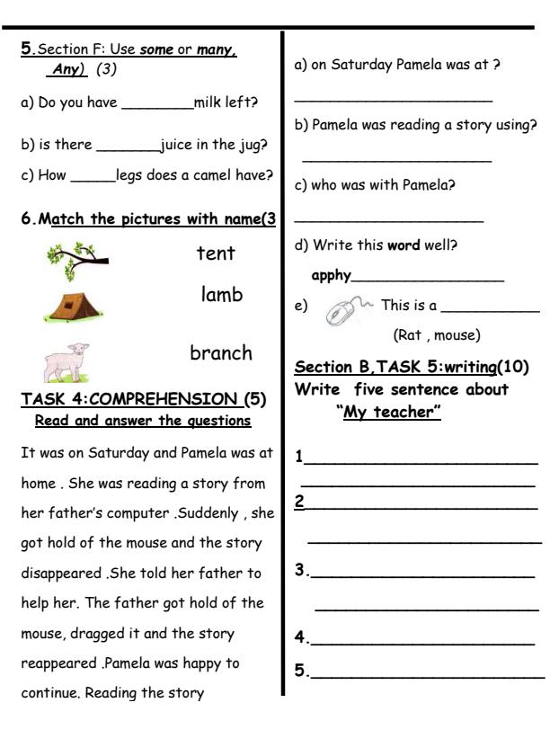 Preview page Grade-3-English-Activities-September-Assessment-Examination-2026_6697_1.jpg