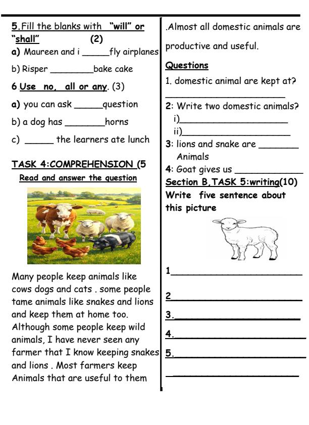 Preview page Grade-3-English-July-Assessment-Examination-2026_6318_1.jpg