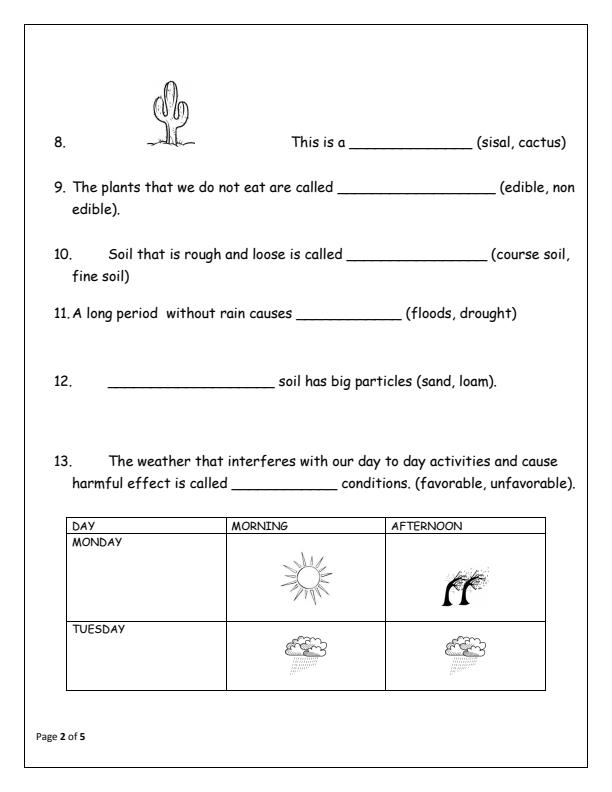 Preview page Grade-3-Environmental-Activities-End-of-Term-1-Examination-2025_3769_1.jpg