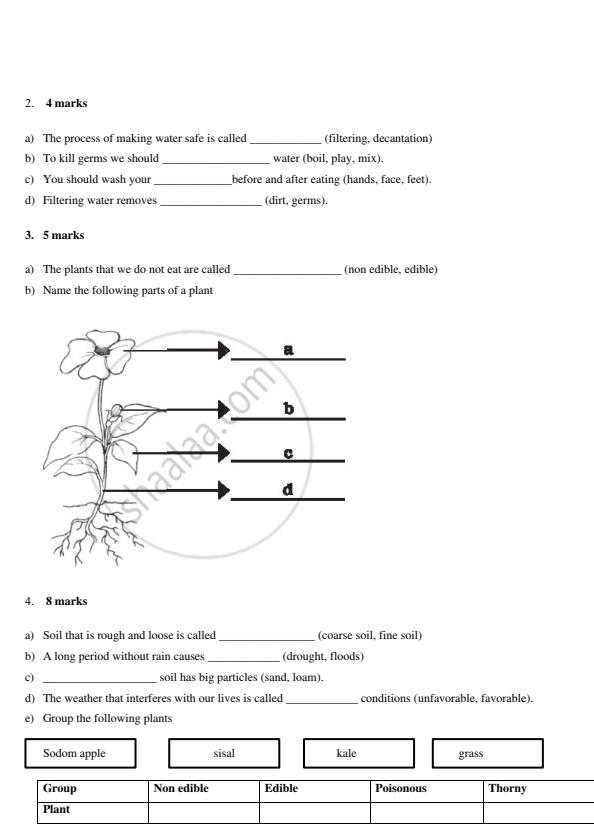 Preview page Grade-3-Environmental-Activities-Mid-Term-1-Exam-2026_5207_1.jpg