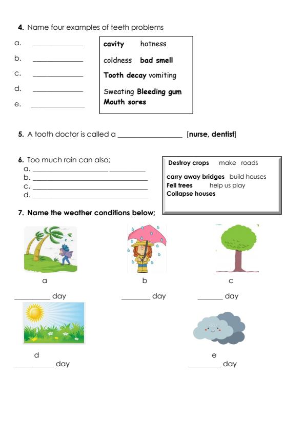 Preview page Grade-3-Environmental-Activities-Mid-Term-2-Exam-2024_2643_1.jpg