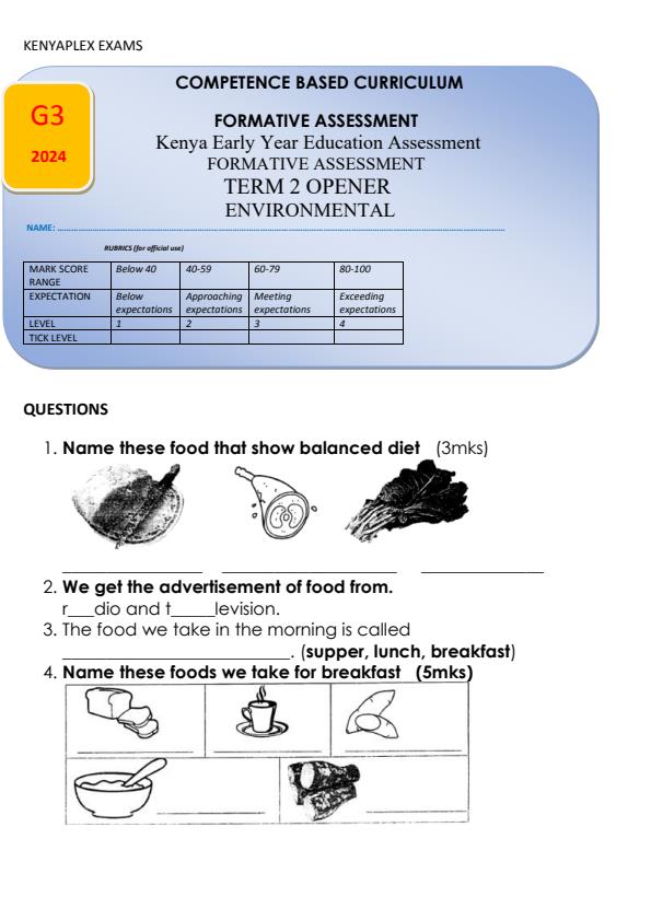 Preview page Grade-3-Environmental-Activities-Term-2-Opener-Exam-2024_2428_0.jpg