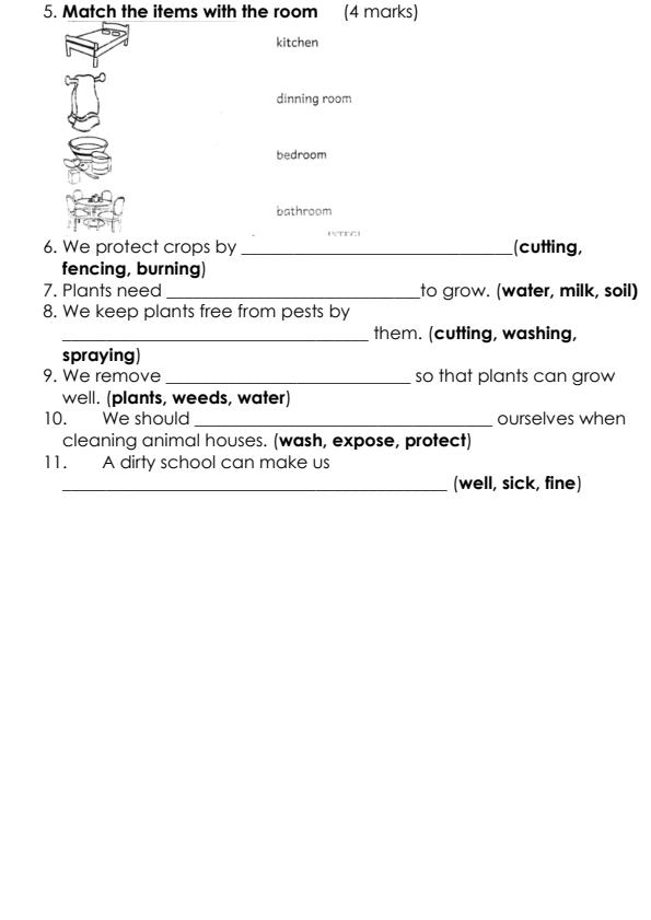 Preview page Grade-3-Environmental-Activities-Term-2-Opener-Exam-2024_2428_1.jpg