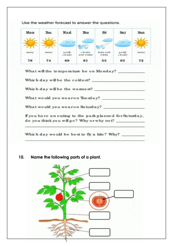 Preview page Grade-3-Environmental-Activities-Term-3-Opener-Exam-2024_2976_1.jpg