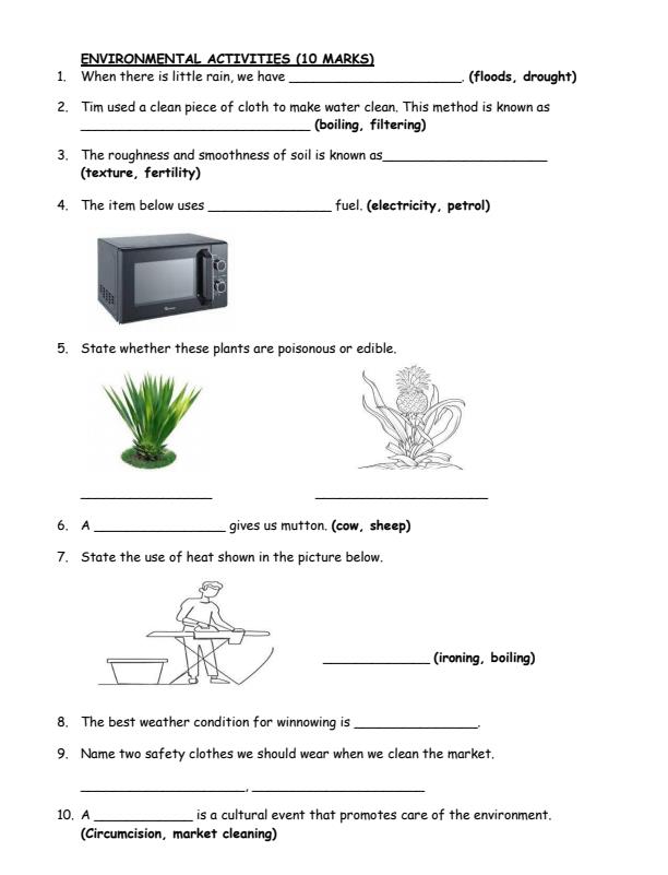 Preview page Grade-3-Environmental-Activities-Term-3-Opener-Exam-2025_4493_1.jpg