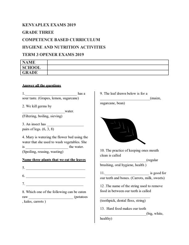 Preview page Grade-3-Hygiene-and-Nutrition-Activities-Term-3-Opener-Examination-2019_349_0.jpg
