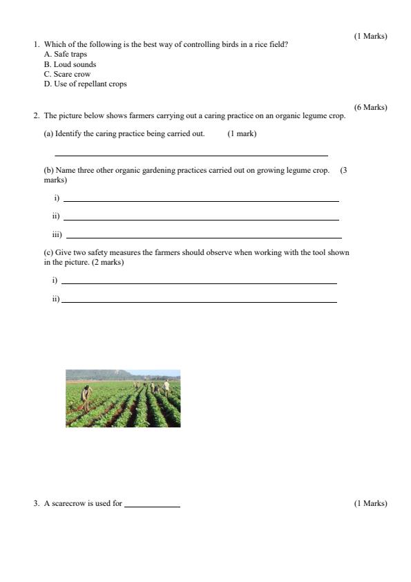 Preview page Grade-4-Agriculture--Nutrition-Term-2-Opener-Exam-2024_2470_1.jpg