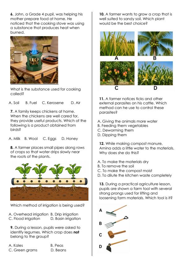 Preview page Grade-4-Agriculture-Activity-End-Term-3-Exam-2026_6806_1.jpg