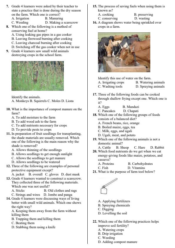 Preview page Grade-4-Agriculture-Activity-Term-3-Opener-Exam-2026_6469_1.jpg