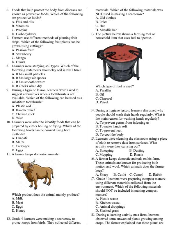 Preview page Grade-4-Agriculture-July-Assessment-Examination-2026_6273_1.jpg