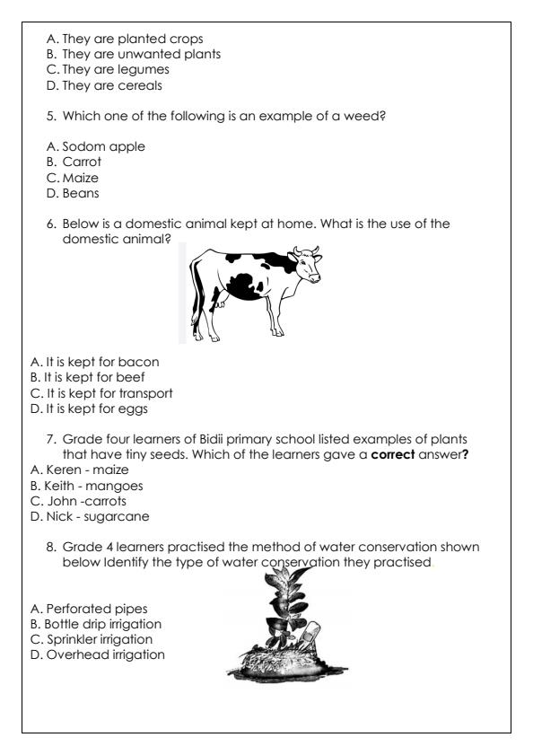 Preview page Grade-4-Agriculture-and-Nutrition-Term-3-Opener-Exam-2024_2980_1.jpg
