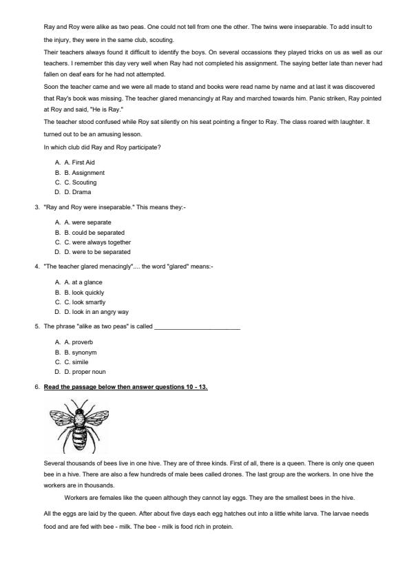 Preview page Grade-4-English-Mid-Term-3-Exam-2024_3147_1.jpg