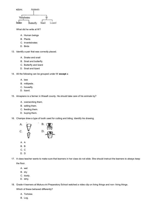 Preview page Grade-4-Science--Technology-End-of-May-Assessment-Test-2024_2605_2.jpg