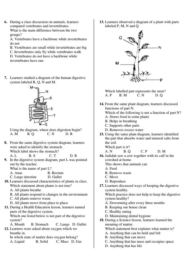 Preview page Grade-4-Science-and-Technology-End-Term-1-Exam-2026_5266_1.jpg