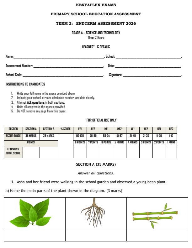 Preview page Grade-4-Science-and-Technology-End-Term-2-Exam-2026_6045_0.jpg