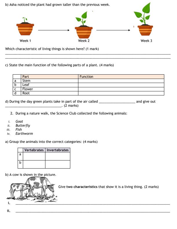 Preview page Grade-4-Science-and-Technology-End-Term-2-Exam-2026_6045_1.jpg