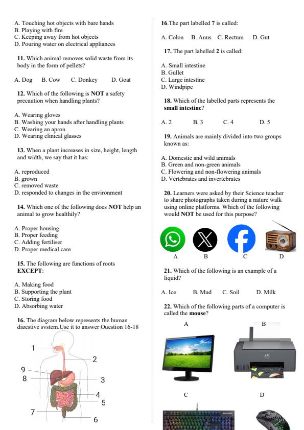 Preview page Grade-4-Science-and-Technology-End-Term-3-Set-2-Exam-2026_7080_1.jpg