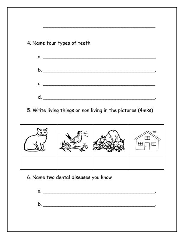 Preview page Grade-4-Science-and-Technology-End-of-Term-1-Examination-2025_3781_1.jpg