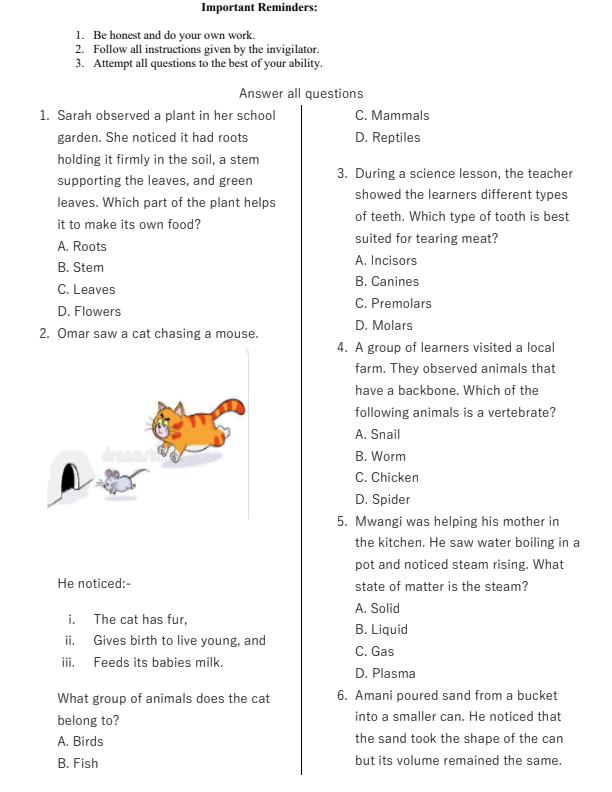 Preview page Grade-4-Science-and-Technology-End-of-Term-2-Exam-2025_4360_1.jpg