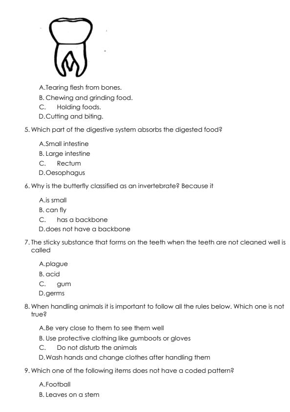 Preview page Grade-4-Science-and-Technology-End-of-Term-2-Examination-2024_2827_1.jpg