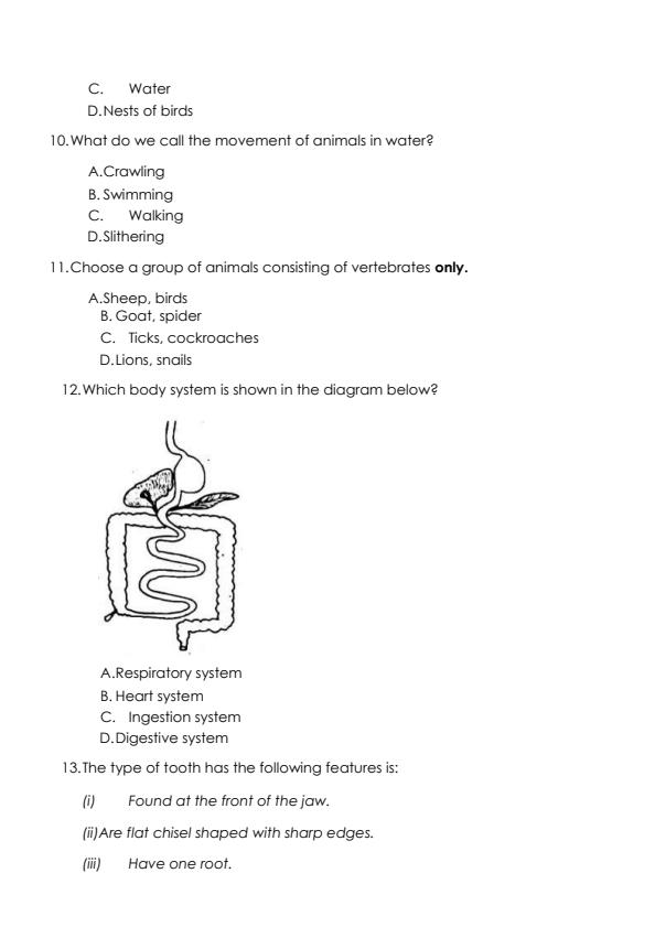 Preview page Grade-4-Science-and-Technology-End-of-Term-2-Examination-2024_2827_2.jpg