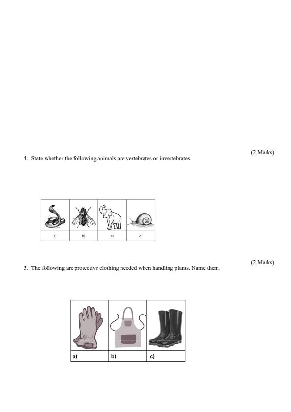 Preview page Grade-4-Science-and-Technology-Mid-Term-2-Exam-2024_2652_2.jpg