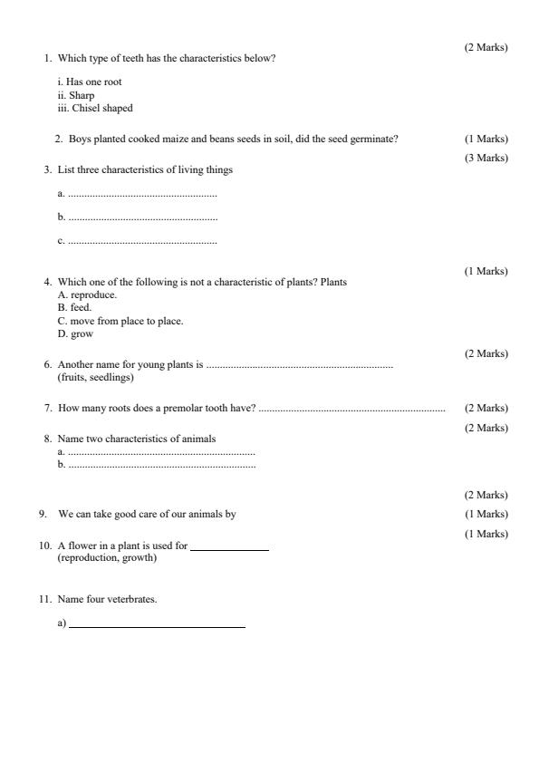 Preview page Grade-4-Science-and-Technology-Term-2-Opener-Exam-2024_2474_1.jpg