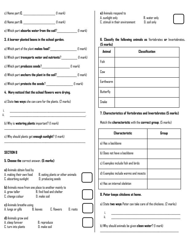 Preview page Grade-4-Science-and-Technology-Term-2-Opener-Exam-2026_5558_1.jpg