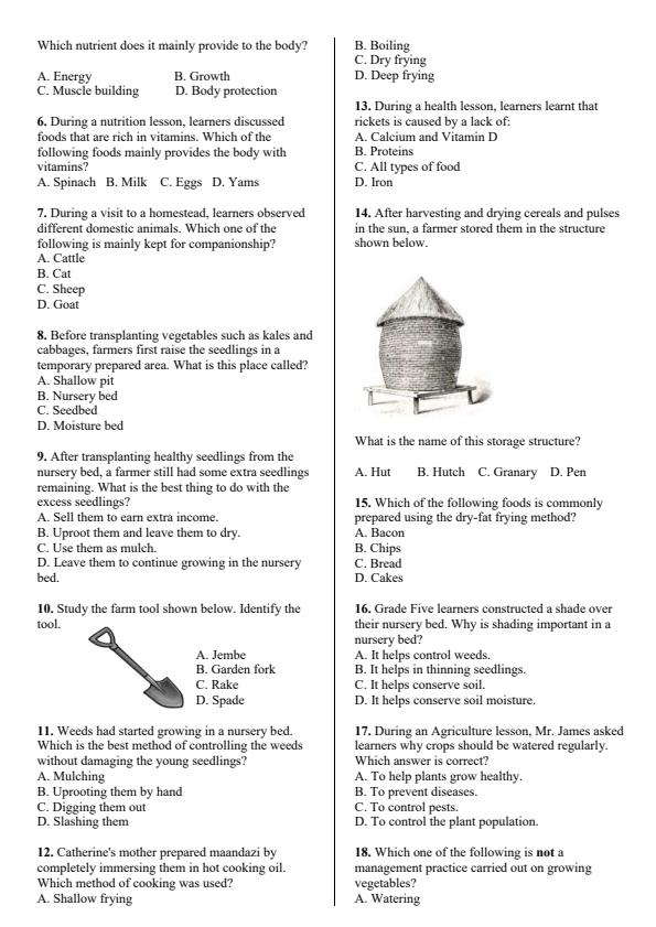Preview page Grade-5-Agriculture-Activity-Term-3-Opener-Exam-2026_6483_1.jpg