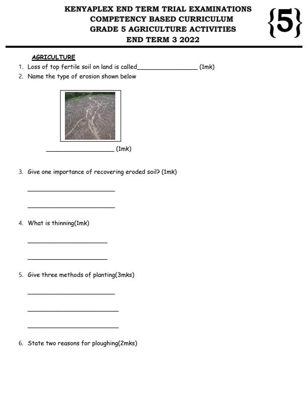Preview page Grade-5-Agriculture-End-of-Term-3-Exam-2022_1040_0.jpg