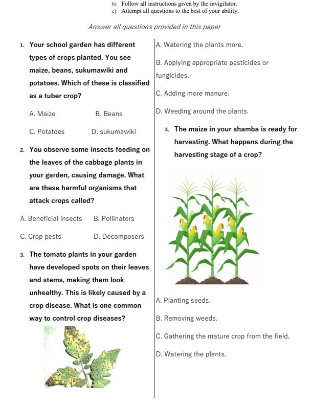 Preview page Grade-5-Agriculture-and-Nutrition-End-of-Term-2-Exam-2025_4362_1.jpg