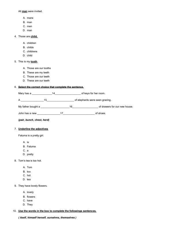 Preview page Grade-5-English-End-of-May-Assessment-Test-2024_2586_1.jpg