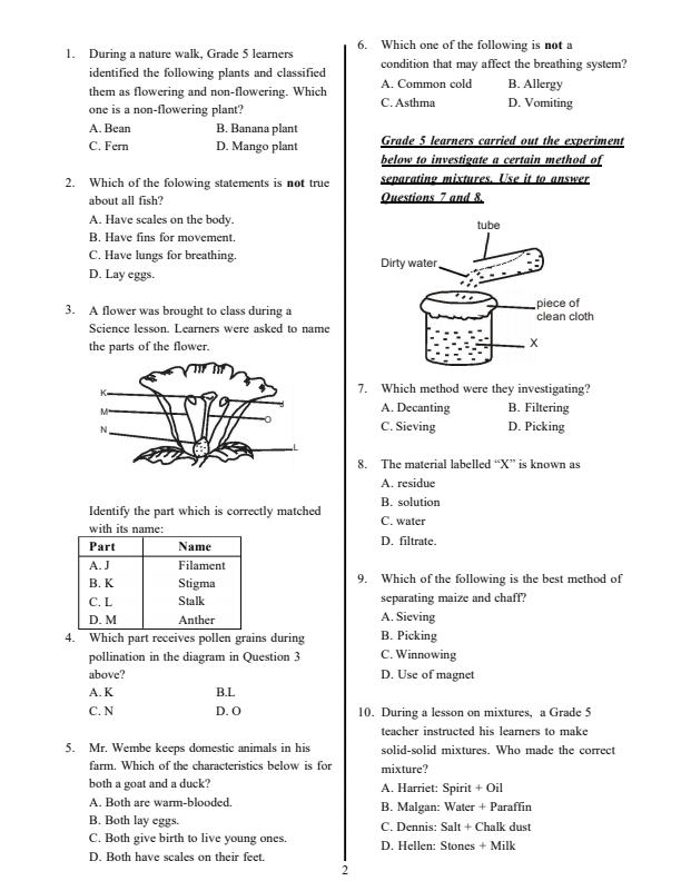 Preview page Grade-5-Integrated-Science-End-of-Term-3-Exam-2025_4827_1.jpg