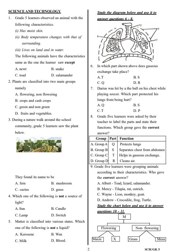 Preview page Grade-5-Integrated-Science-Mid-Term-3-Exam-2025_4712_1.jpg