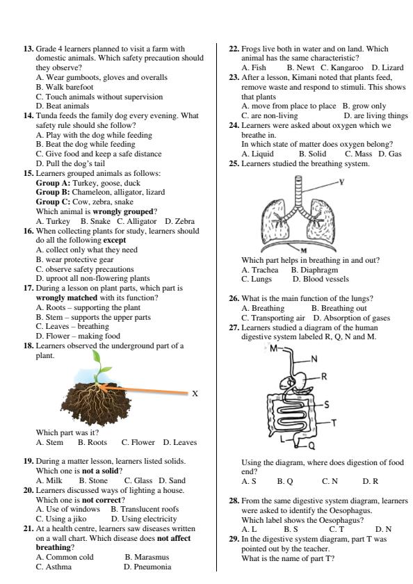 Preview page Grade-5-Science-and-Technology-End-Term-1-Exam-2026_5257_1.jpg