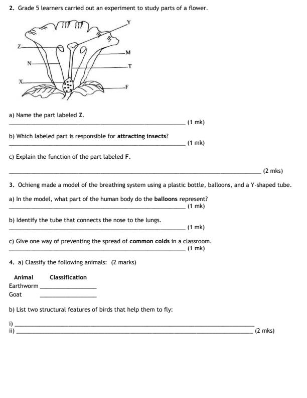 Preview page Grade-5-Science-and-Technology-End-Term-2-Exam-2026_6061_1.jpg