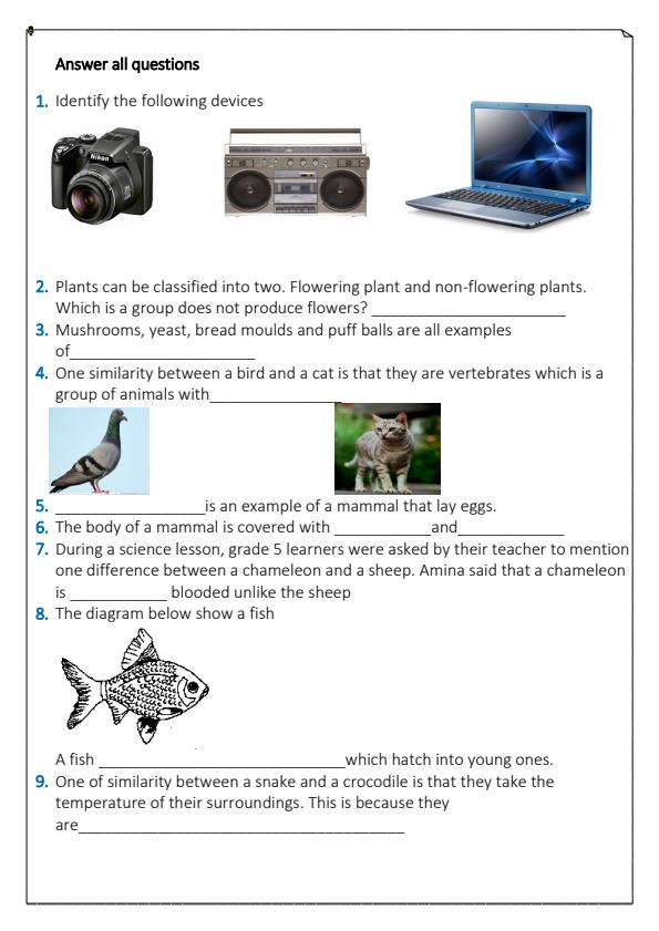 Preview page Grade-5-Science-and-Technology-End-of-Term-1-Exam-2024_2200_1.jpg