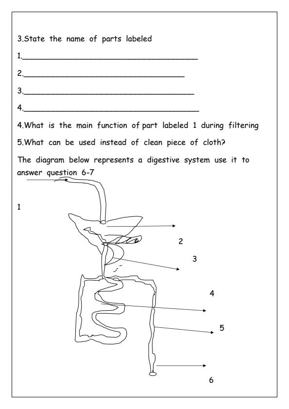 Preview page Grade-5-Science-and-Technology-End-of-Term-1-Examination-2025_3789_1.jpg